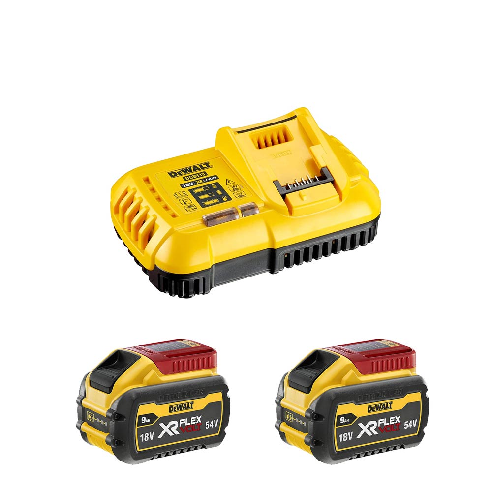 DeWALT DCB118X2